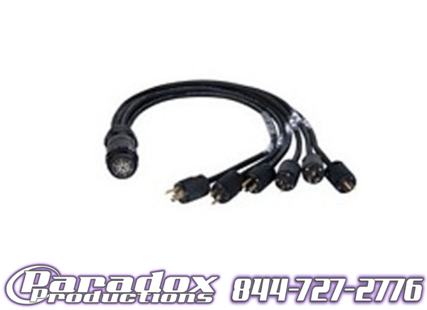 A black cable with four Socapex and Edison connectors.